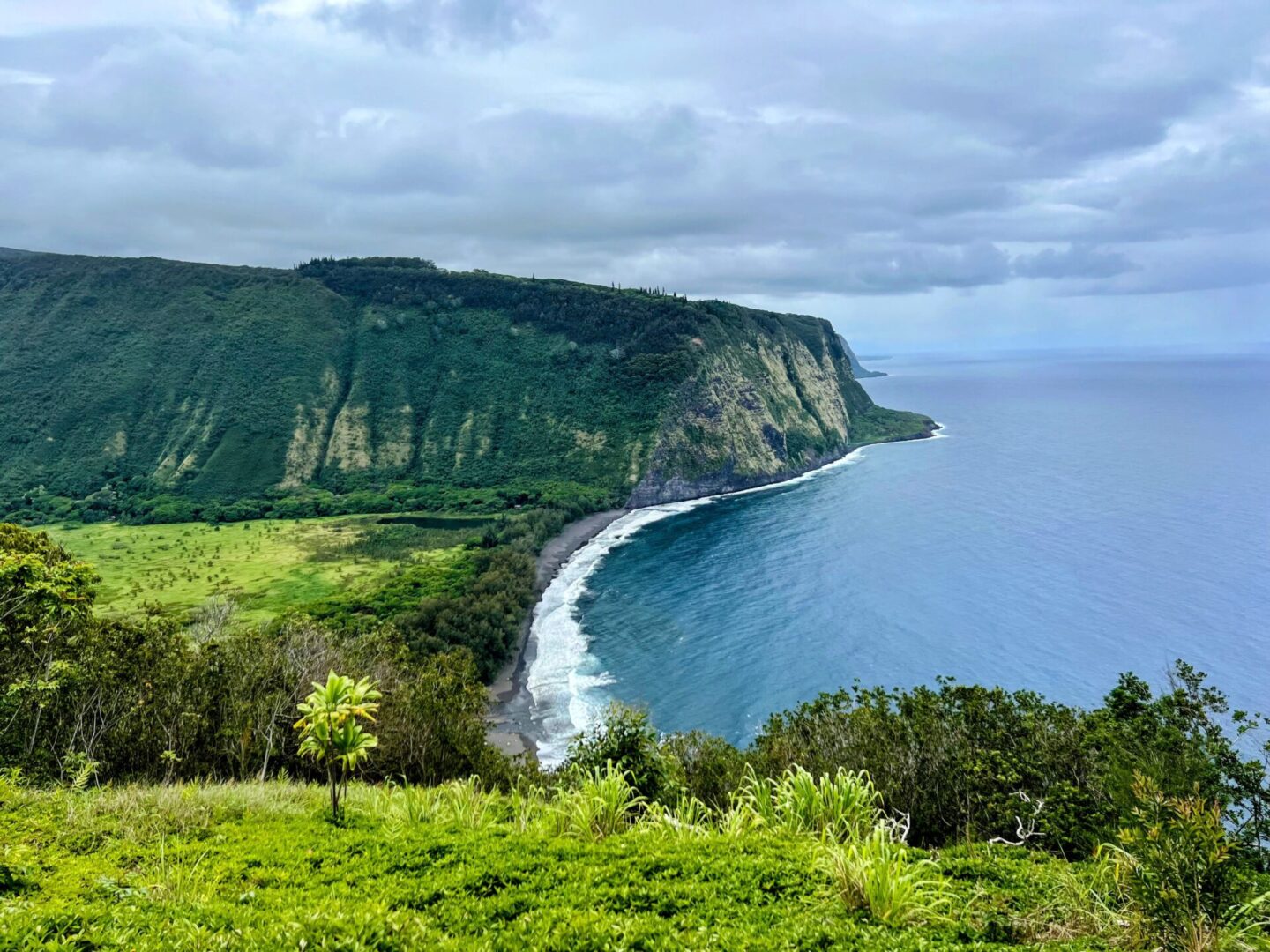 Scenic view of a coastal cliff with lush greenery, a small beach, and the ocean meeting the horizon under a cloudy sky.